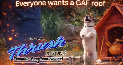 Jesse the Jack Russell standing proudly beside a doghouse promoting why everyone wants a GAF roof installed by Thrush & Son roofing experts.