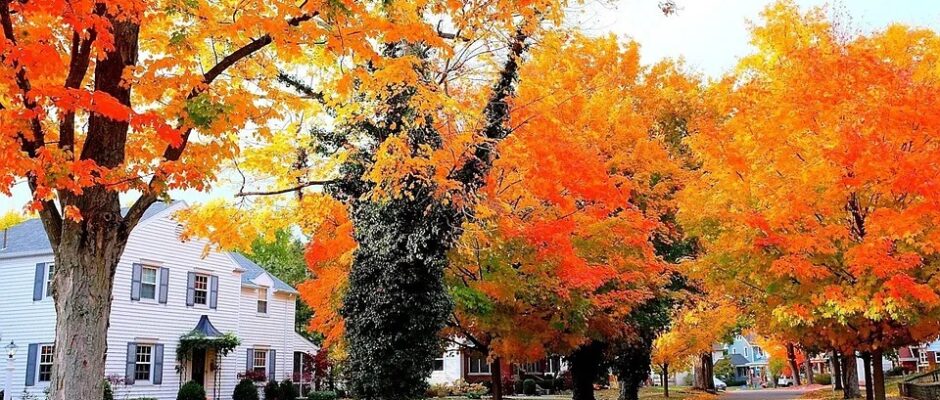 Dayton Home Improvement Project Gallery – Roofing